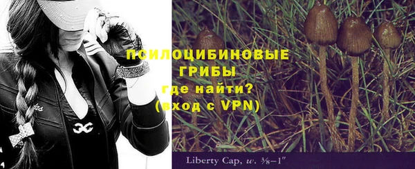дживик Балахна