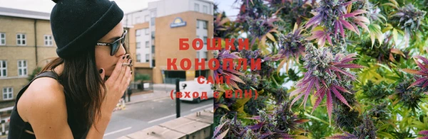 прущие крисы Балабаново